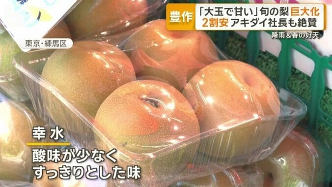 酸味が少ないすっきりとした味が特徴の「幸水」