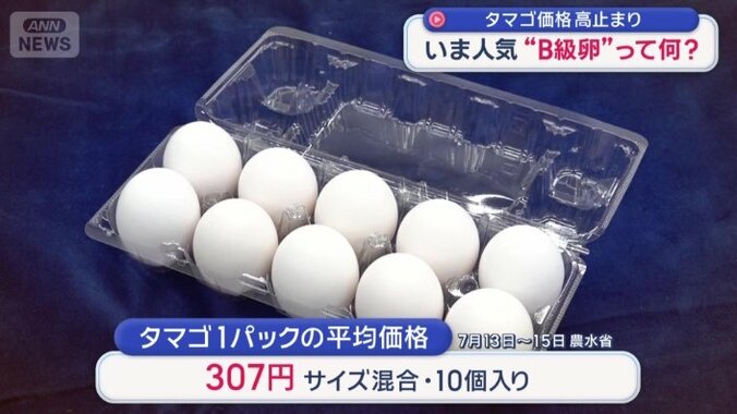 卵1パックの平均価格