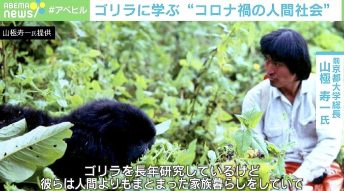ゴリラに学ぶ“自粛がつらい理由” 霊長類研究者・山極寿一京大前総長が提言するコロナ禍の過ごし方「スマホを捨てればいい」 2枚目