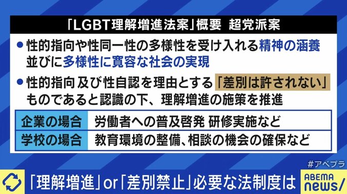 LGBT法案めぐる「理解増進」「差別禁止」文言の是非 ryuchell「“生きやすい世の中になってほしい”と叫んでいる人たちがいる。そこに目を向けてほしい」 2枚目