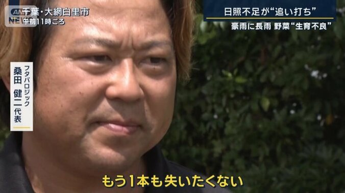 フタバロジック　桑田健二代表