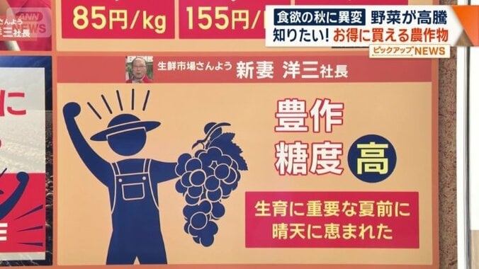 ブドウも今年は豊作