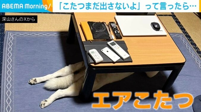 シベリアンハスキーのアシㇼちゃん