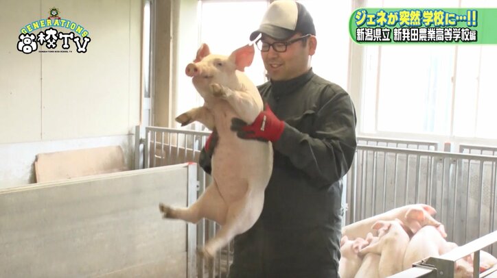 白濱亜嵐、牛に“メンディー”と名付け餌やり　「メンディーお食べ」