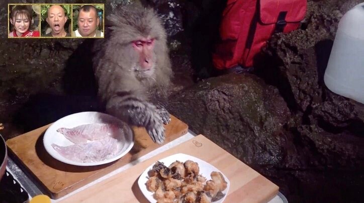バイきんぐ西村、猿に唐揚げを強奪されブチギレ「やりやがったな！」