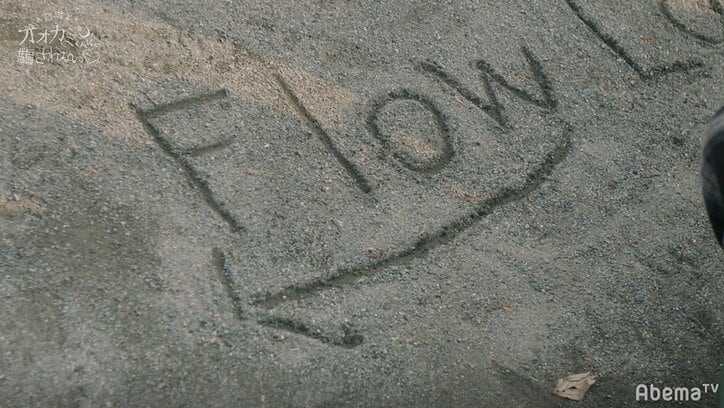 さなり失格に衝撃!「僕はルールを破った」 告白前日にあいりへ“ある事実”を伝えていた…オオカミくん史上最大の事件に視聴者騒然