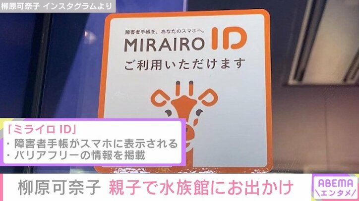 柳原可奈子、障害者手帳がスマホに表示されるアプリを紹介 「さらに便利なお出かけだった」