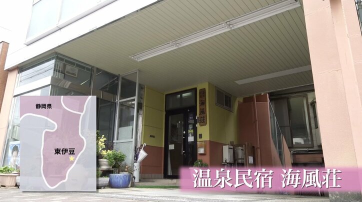 「お待ちしておりましたニャ」旅人を癒す伊豆のモフモフ猫たち