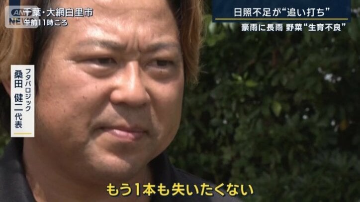 フタバロジック 桑田健二代表