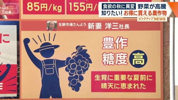ブドウも今年は豊作