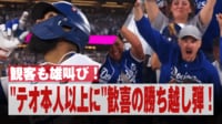 【映像】観客も雄叫び! “テオ本人以上に”歓喜の勝ち越し弾! - MLBポストシーズン2024 -