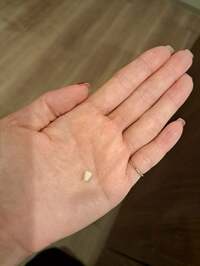 小原正子『五本目⭐』