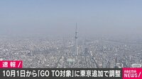 GoToトラベル 来月から東京も追加へ
