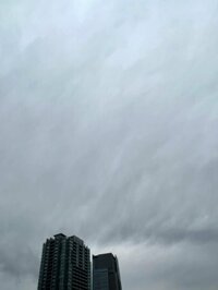 渡辺美奈代『おはようございます』