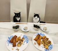 藤あや子『おうちごはん』