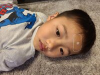 小原正子『ハイドロコロイドの☆』