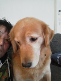 坂上忍『平塚コウタでございます』