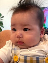 小泉貴之『6か月もいろいろ』