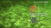 「赤潮」海は染まり、ウニは死んだ..。