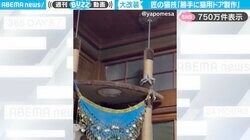 「なんということでしょう」猫が障子に“匠のリフォーム”！キャットタワーへスムーズに移動する様子が、SNSで750万件表示