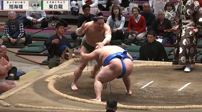 【写真・画像】　1枚目