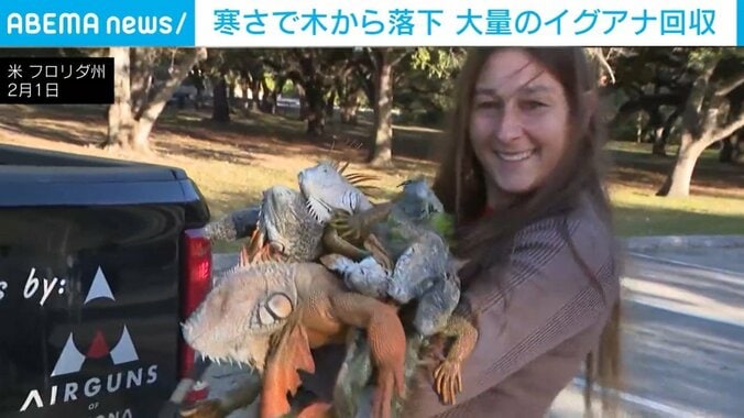 イグアナを抱える人