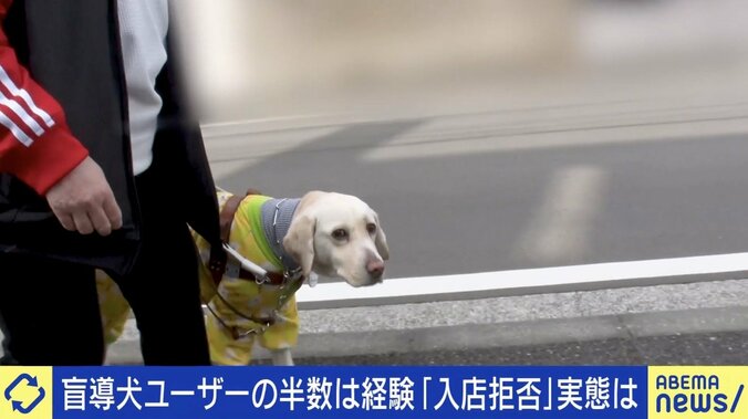 盲導犬ユーザーが経験する“入店拒否”