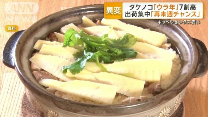 春の味覚タケノコ