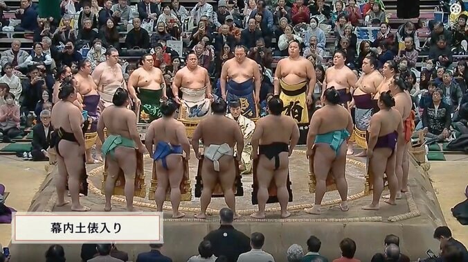 【写真・画像】「何だこの生物は」人気力士の化粧まわしが「あらかわいい」 異彩放つ“キャラ”にファン熱視線　1枚目