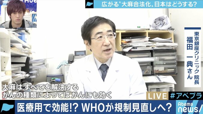 嗜好品、医療用として大きなビジネスチャンスに…先進国でも”大麻解禁”の流れ、日本はどうすべき？ 2枚目