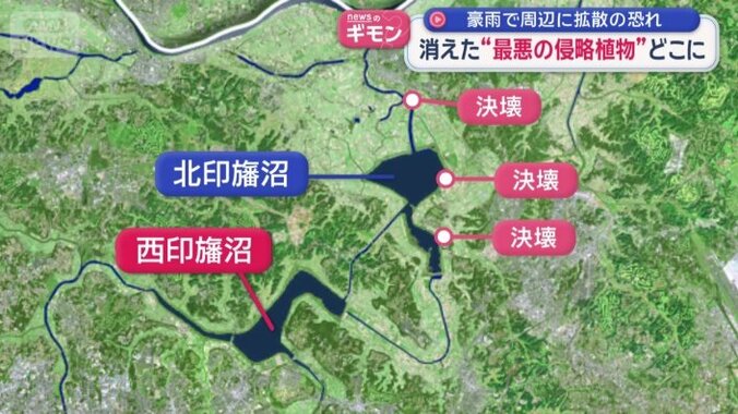 西印旛沼