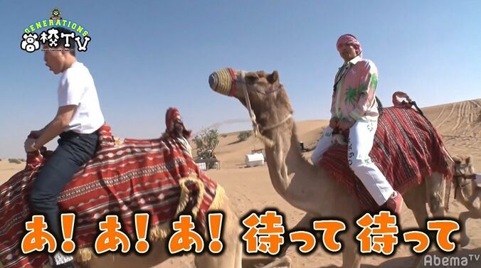 片寄涼太、王子キャラ崩壊！？砂漠でラクダ体験するもビビりまくり絶叫 6枚目