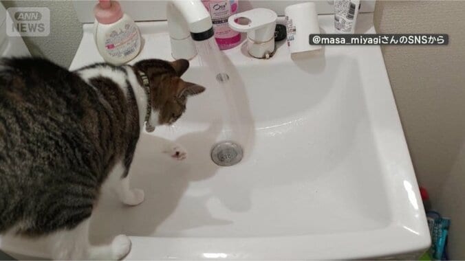 あ、水だ