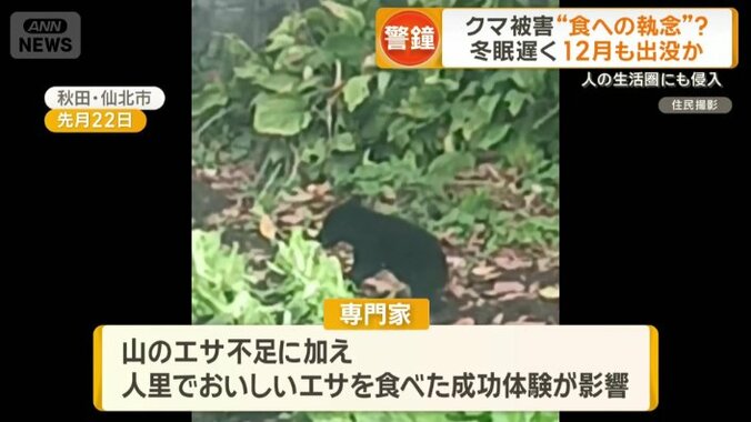 成功体験が影響