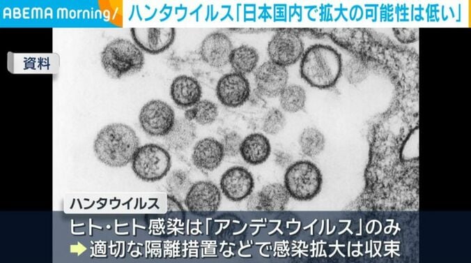 ハンタウイルス（資料）