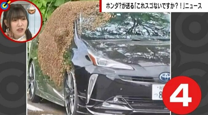 車を覆う“茶色の物体”に「巨大ネコ？」「ちょっと猛獣そう」と驚きの声 正体は「分蜂」 1枚目