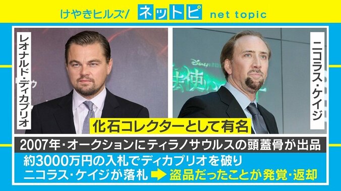 セレブの“化石集め”に学者らが「売買中止」訴え、歴史学者「気持ちはもの凄くわかる」 2枚目