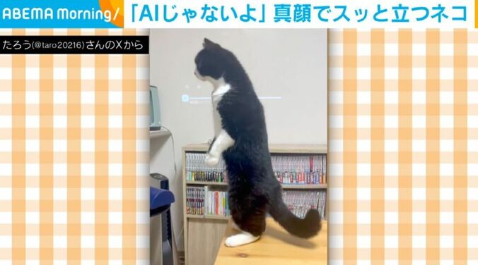 たろうくん