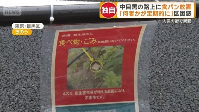 食べ物を放置しないよう呼びかけるポスター