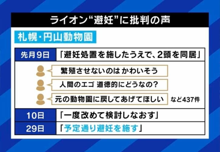 【写真・画像】ハト1羽ひき殺して逮捕・拘束は妥当？ 正当性に疑問呈する弁護士「裁判所は“令状自動発券機”だ」　2枚目