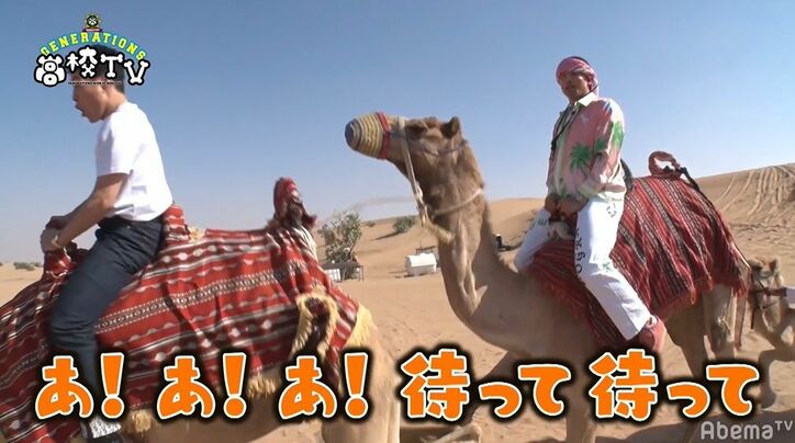 片寄涼太、王子キャラ崩壊！？砂漠でラクダ体験するもビビりまくり絶叫