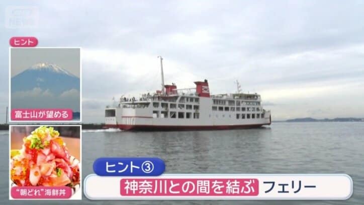 神奈川との間を行き来するフェリー