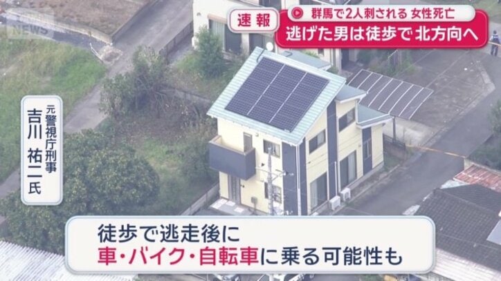 見える範囲は徒歩だった可能性も