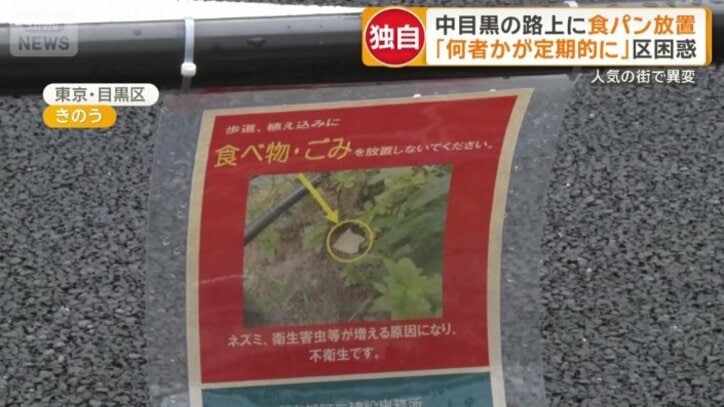 食べ物を放置しないよう呼びかけるポスター