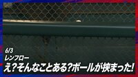 【映像】フェンスの間に“すっぽり”珍二塁打