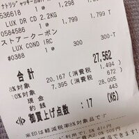 日菜あこ『コストコのお会計にガクブル』