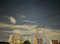 大島奈保美『嗅覚、完全に消えました』