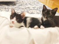 藤あや子『生後2ヶ月♪』