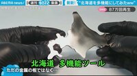 【映像】めっちゃ多機能な北海道の使い方