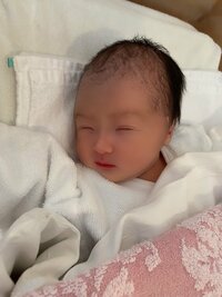 アレクサンダー『こんな美人❤️❤️』